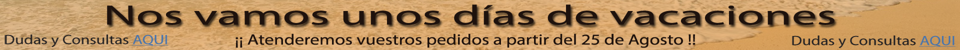 Vacaciones 2024
